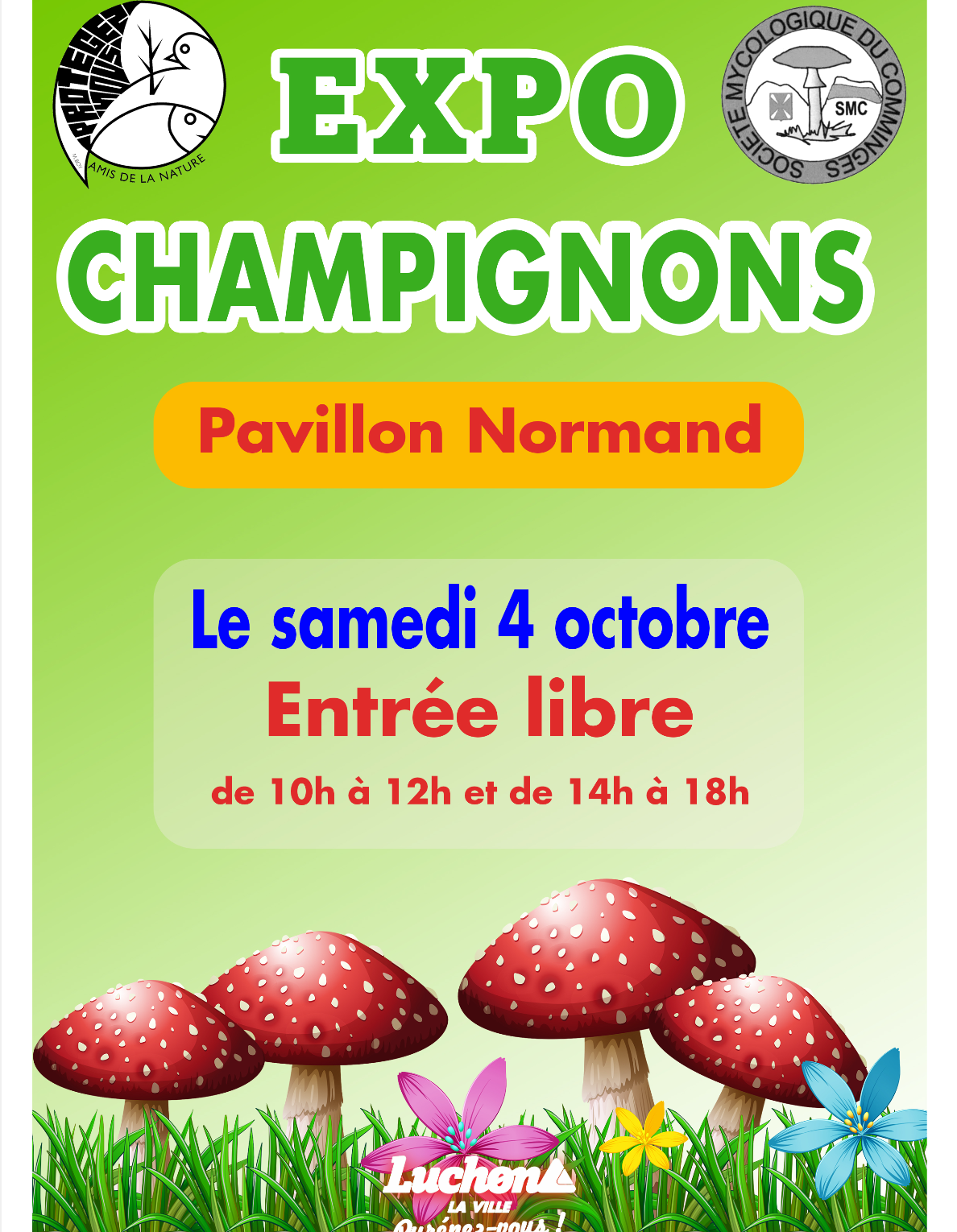 expo-champignons-luchon-pyrenees31.png